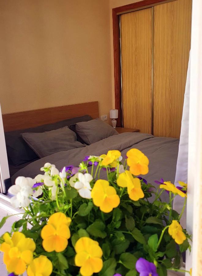 Isamar Apartamento Playa Del Cura Torrevieja Luaran gambar
